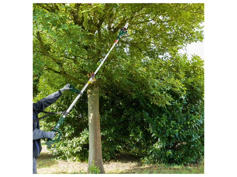 PARKSIDE® Élagueuse sur perche sans fil PAHE 20-Li D4. 20 V