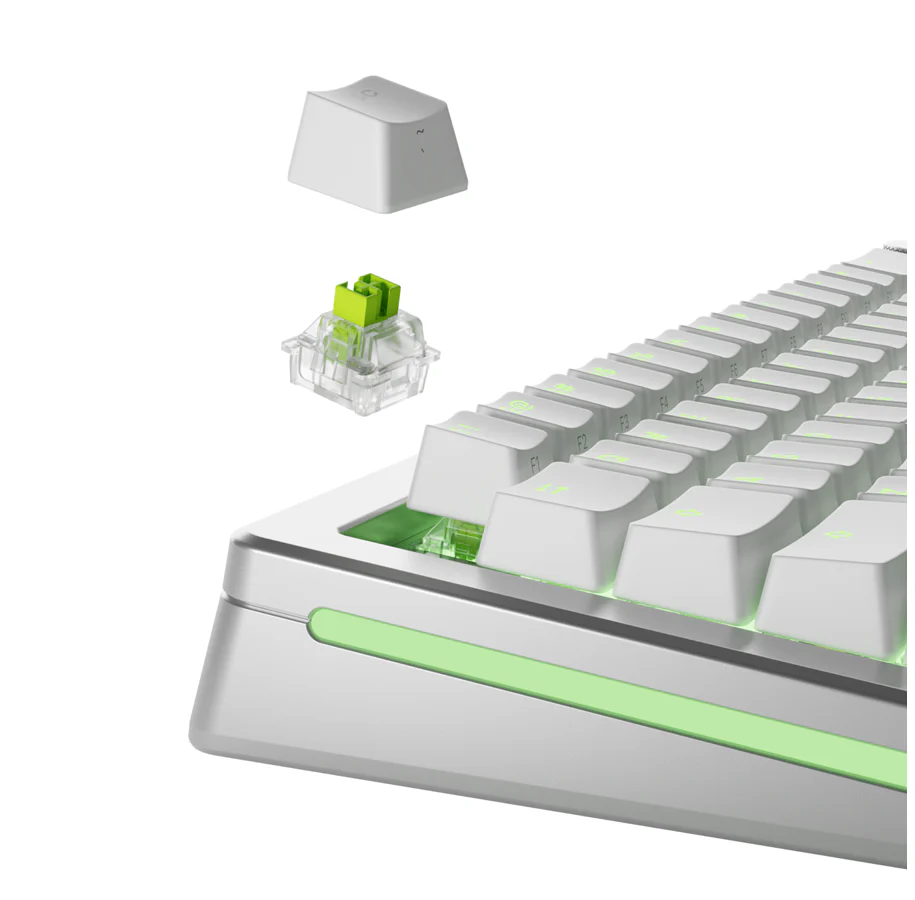 Glorious HE Switches (36 stk) - Raptor - Lubed - [Clicky] 55g