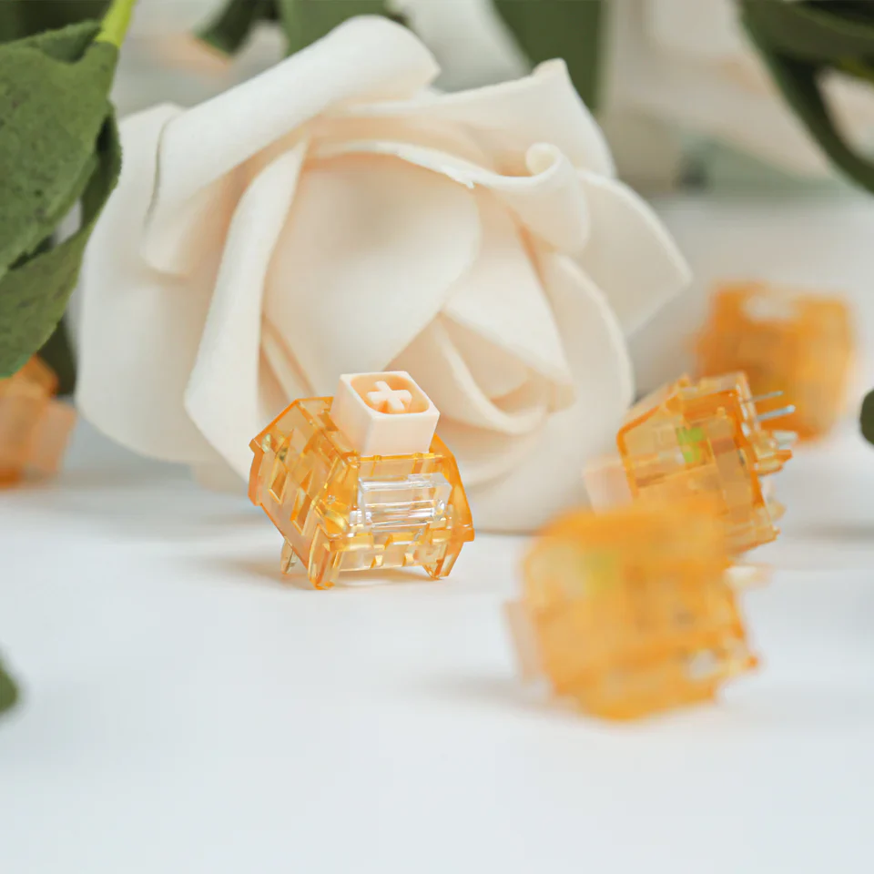 Ducky Switch Kit Kailh Box Autumn (110stk) - Clicky | 3.6mm Travel | 55g Actuation